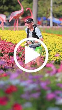 BIB:  <button type="button" onclick="openModal(27588357)" class="btn btn-primary btn-sm float-right" data-toggle="modal" data-target=".modal-high-quality">
                <i class="fa fa-download"></i> Download
                </button>